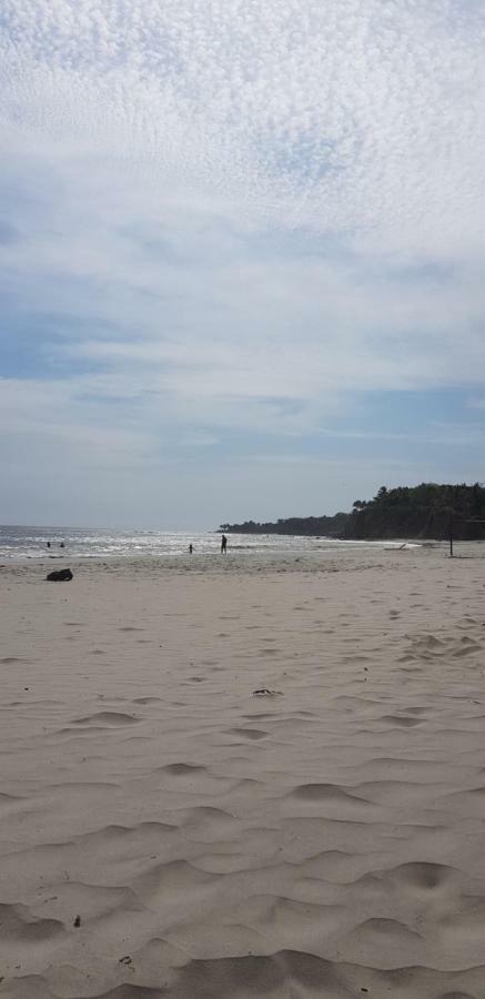 Los Veneros, Torre Agave Punta Mita