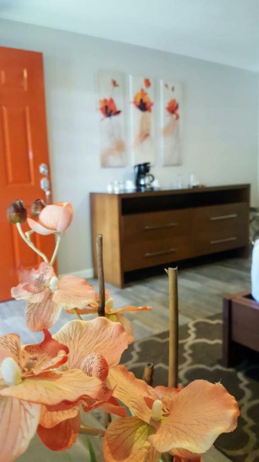 Quinta Arratz Hotel