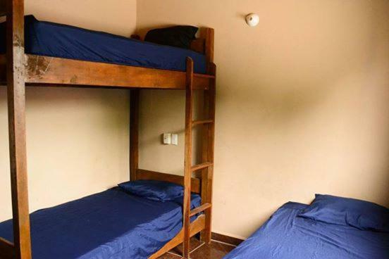 Guest house La Selva