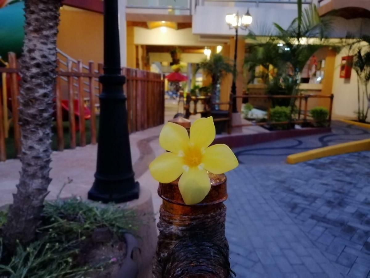 Marysol Palmas 3*