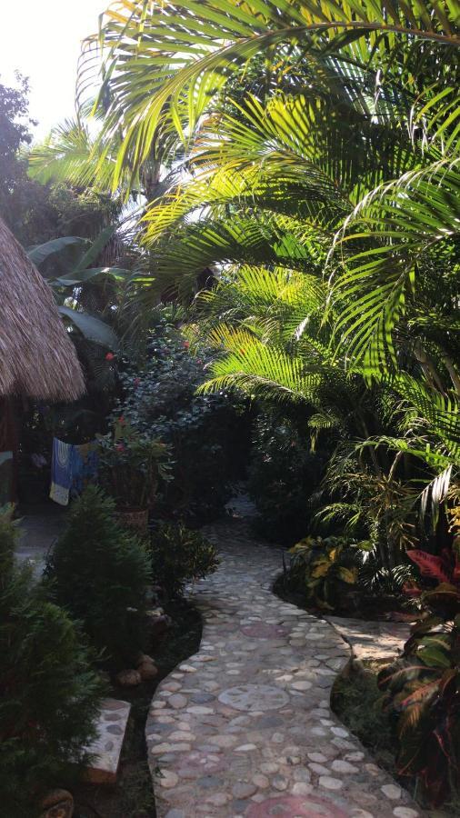 Guest house La Luciernaga *
