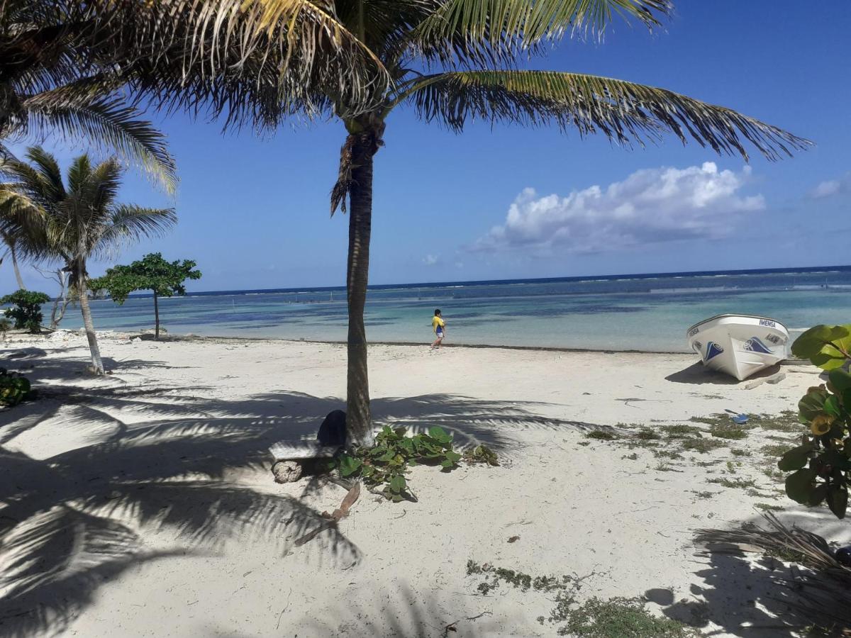 Palmeras De * Mahahual