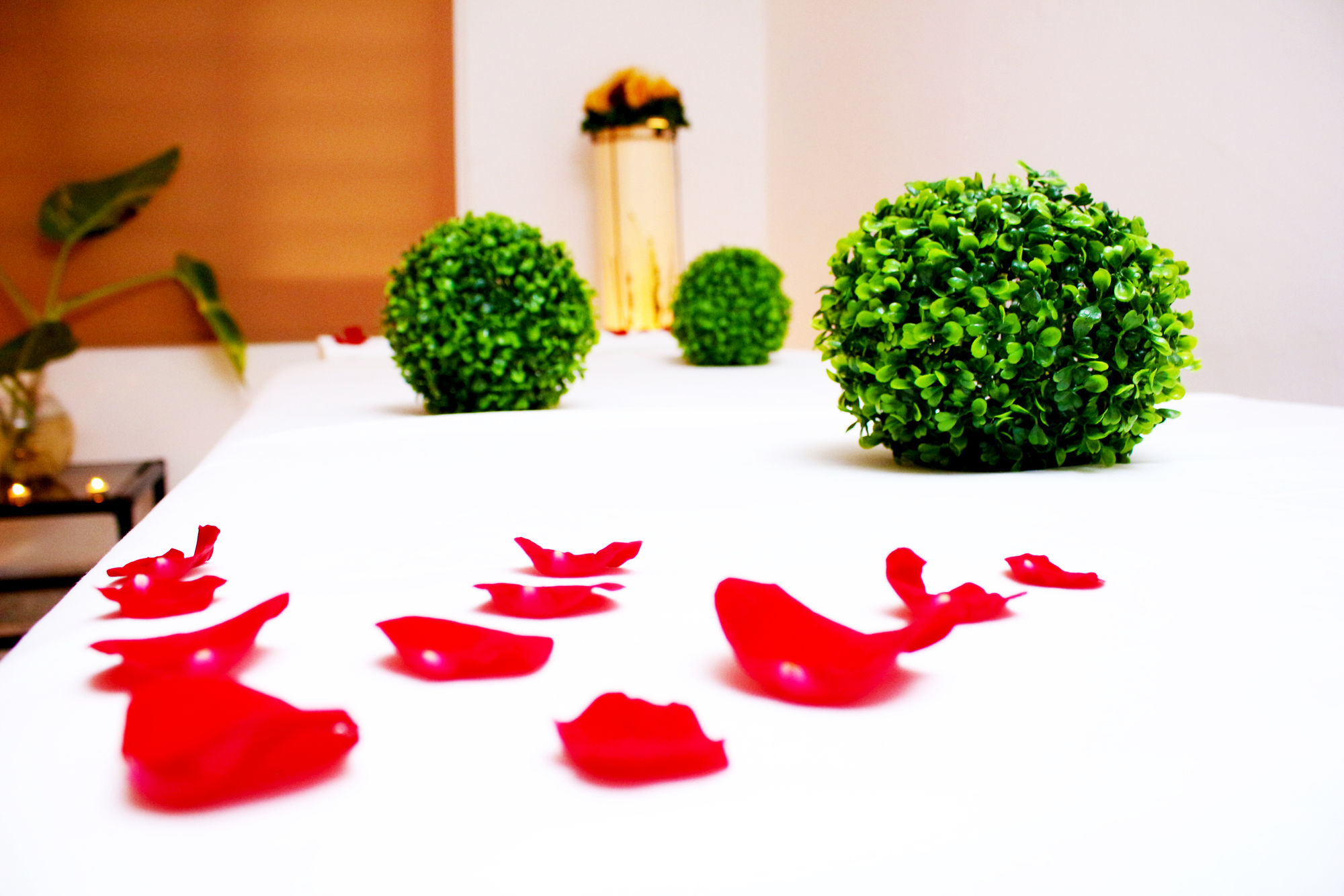 Taninul Hotel 3*
