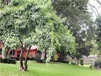 Hotel Jacarandas