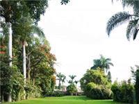 Hotel Jacarandas 4*