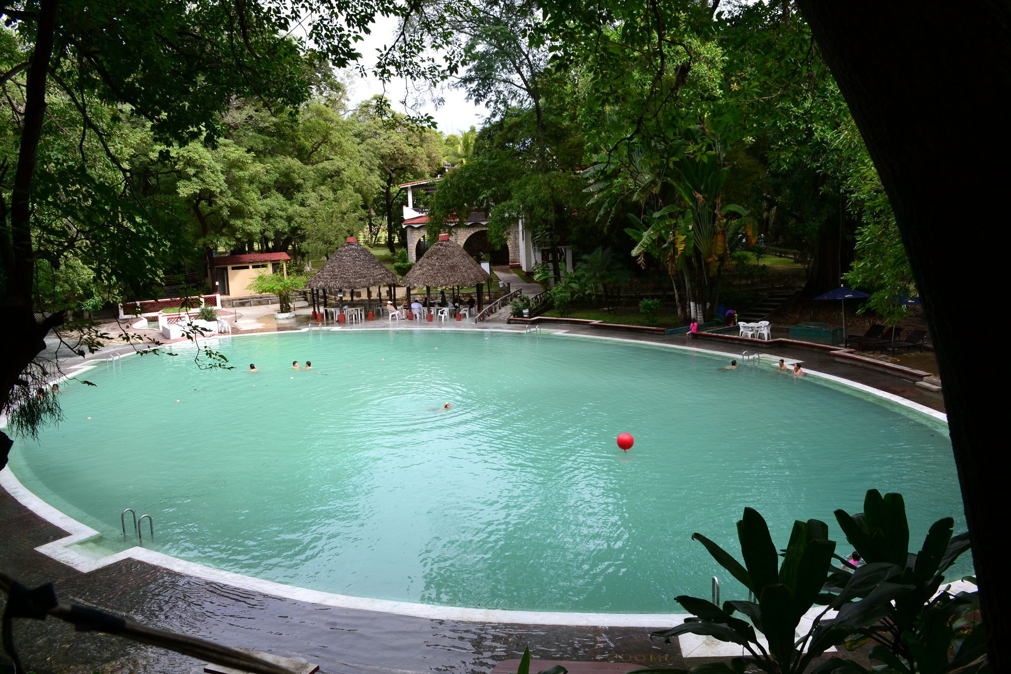Taninul
