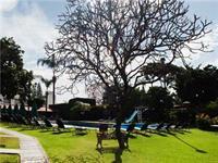 Hotel Jacarandas