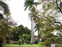 Jacarandas Hotel 4*