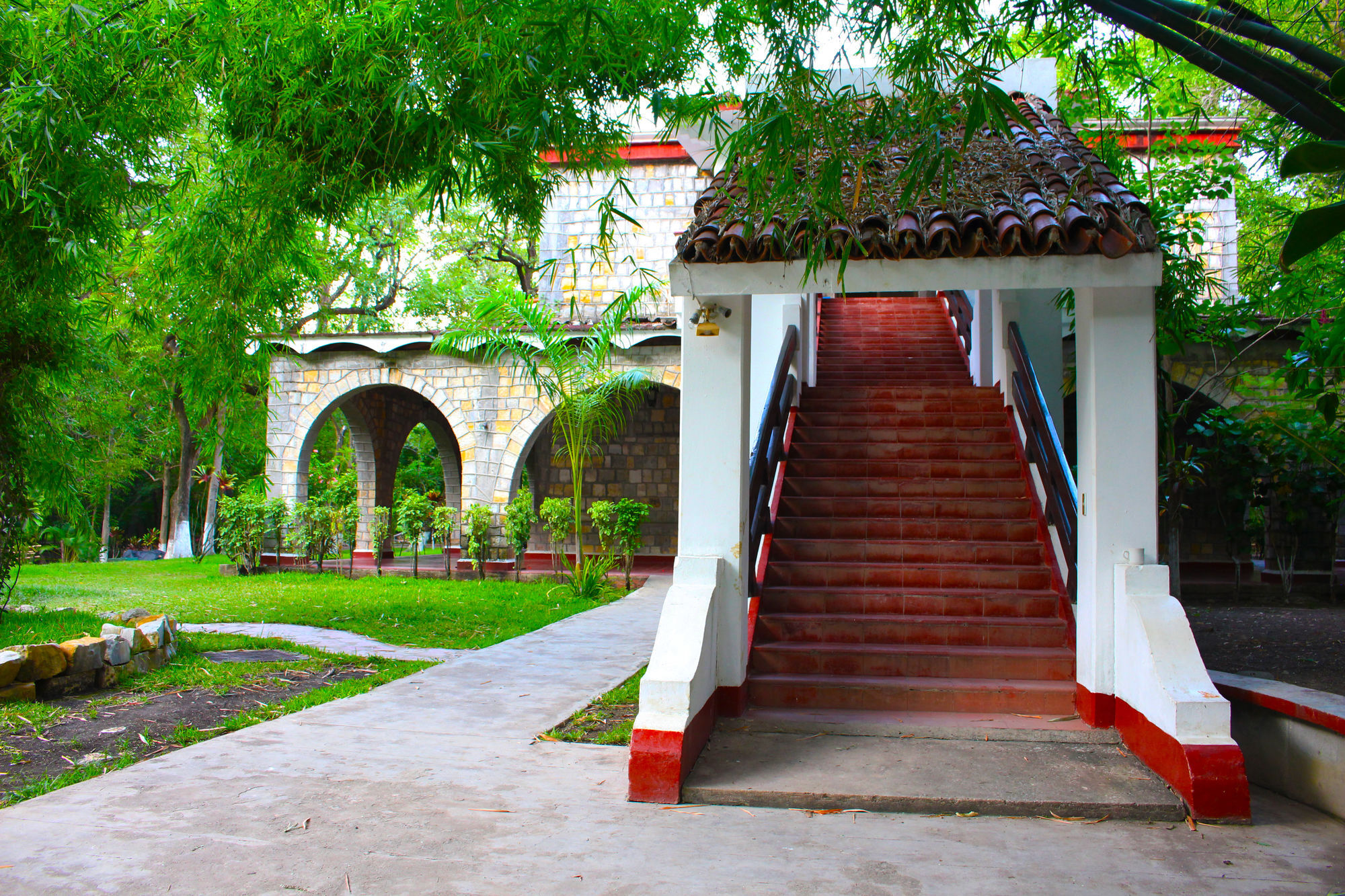 Taninul