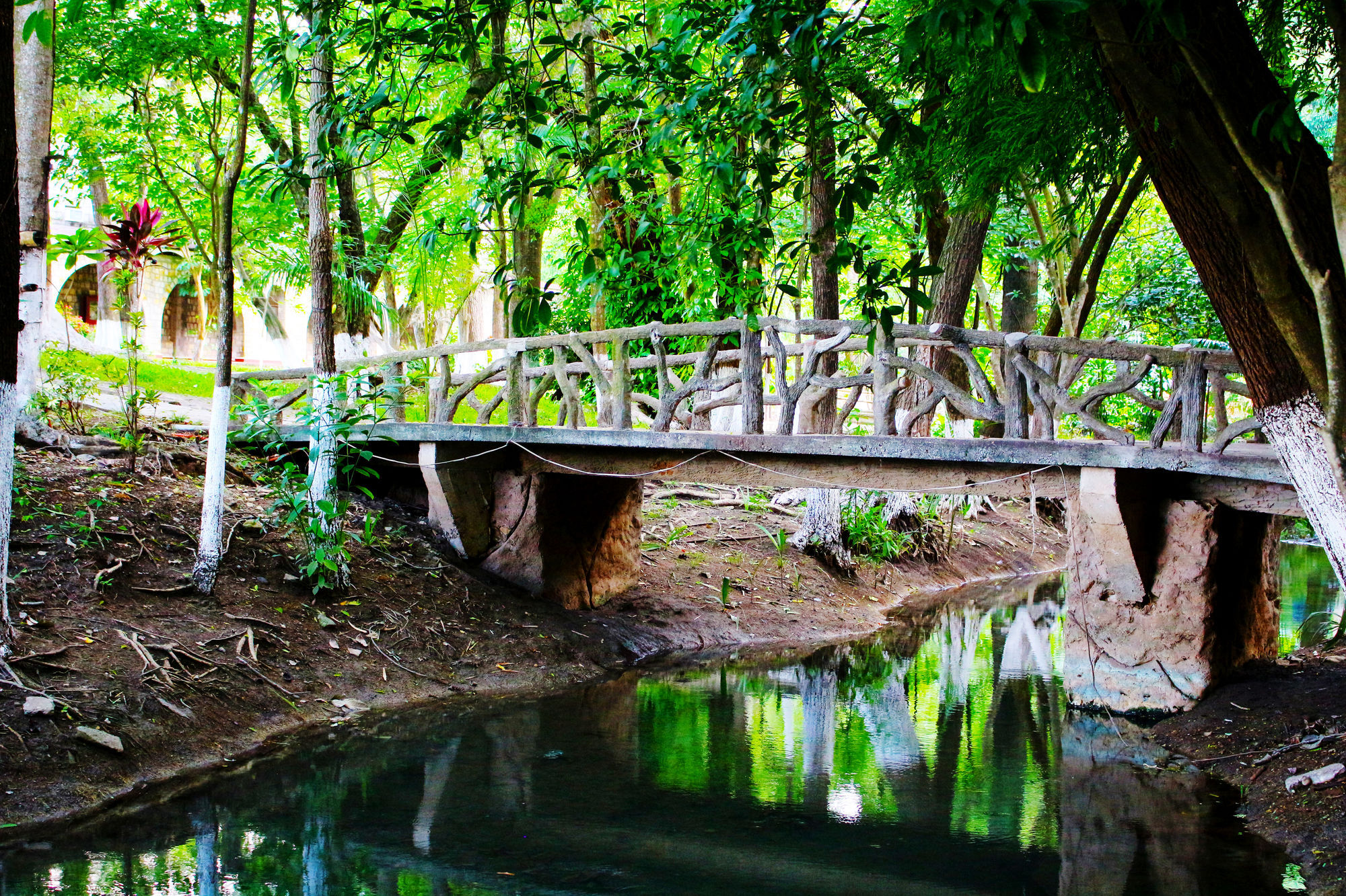 Taninul Hotel Los Puentes