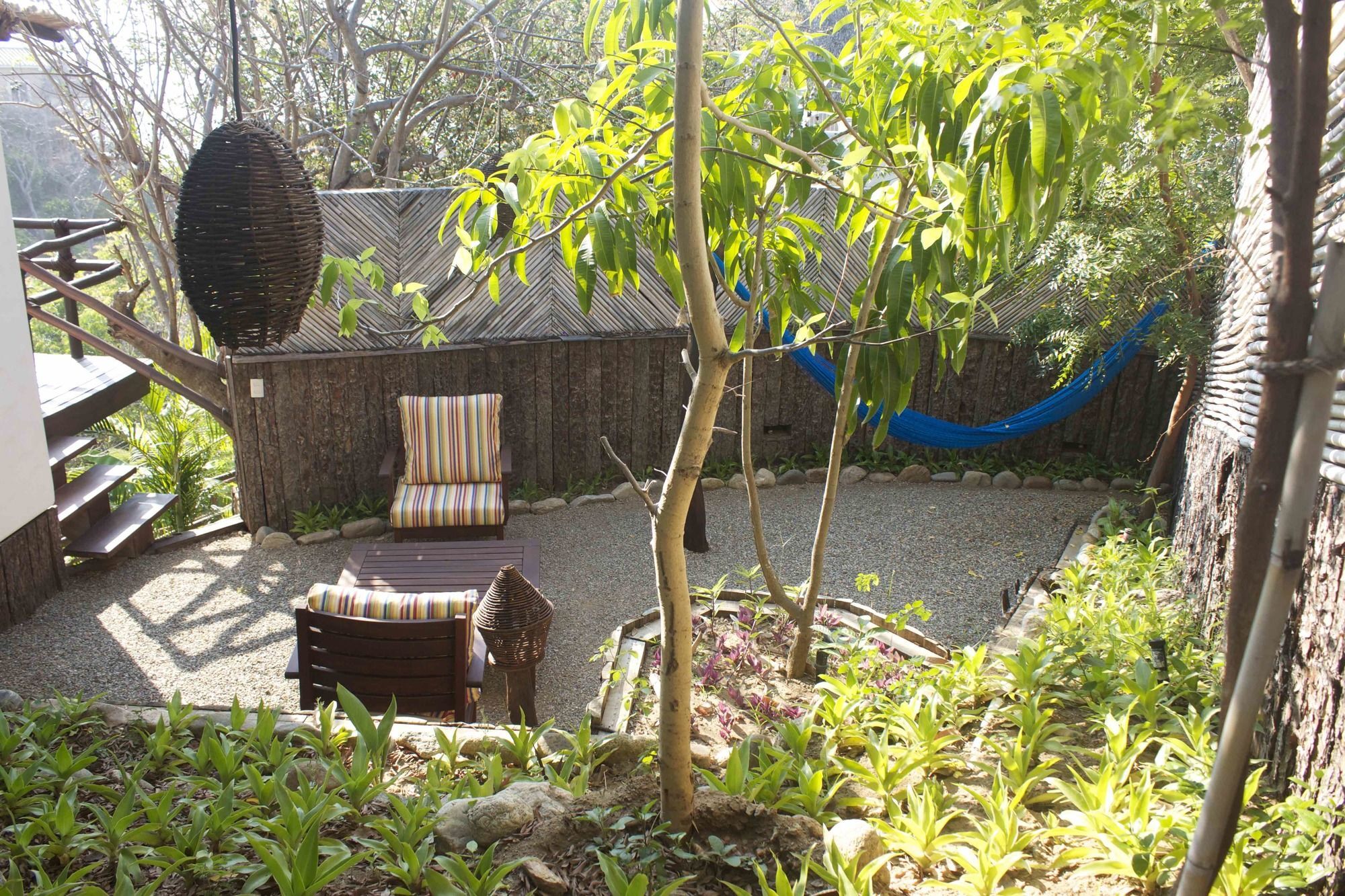 Zoa - Adults Only Mazunte