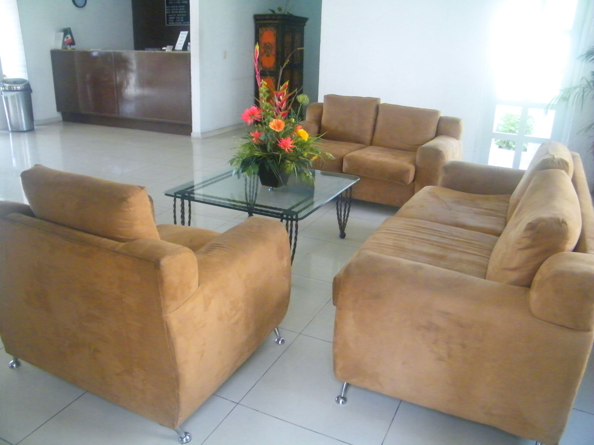 Hotel Palomas Express