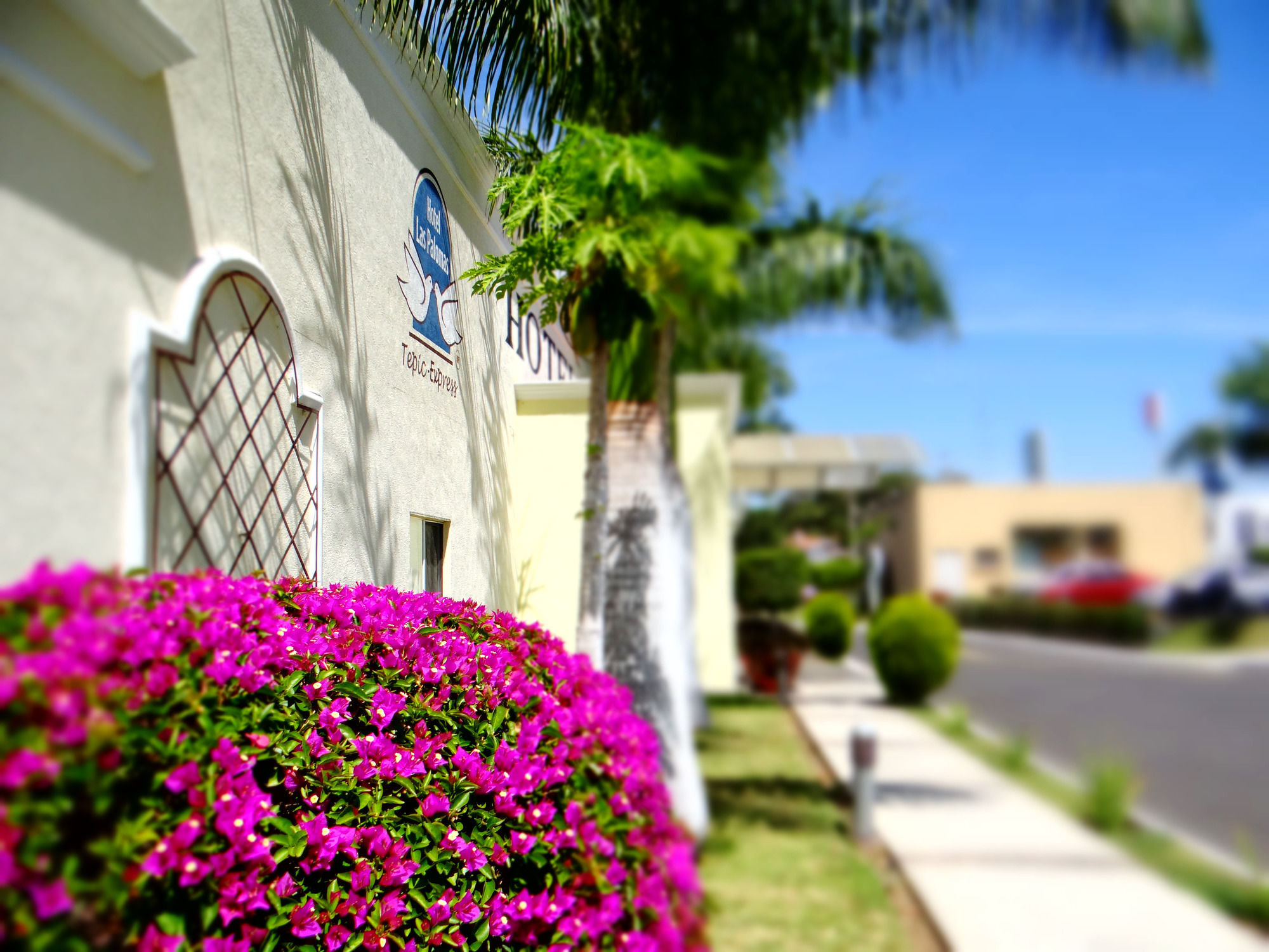 Palomas Express Hotel Tepic