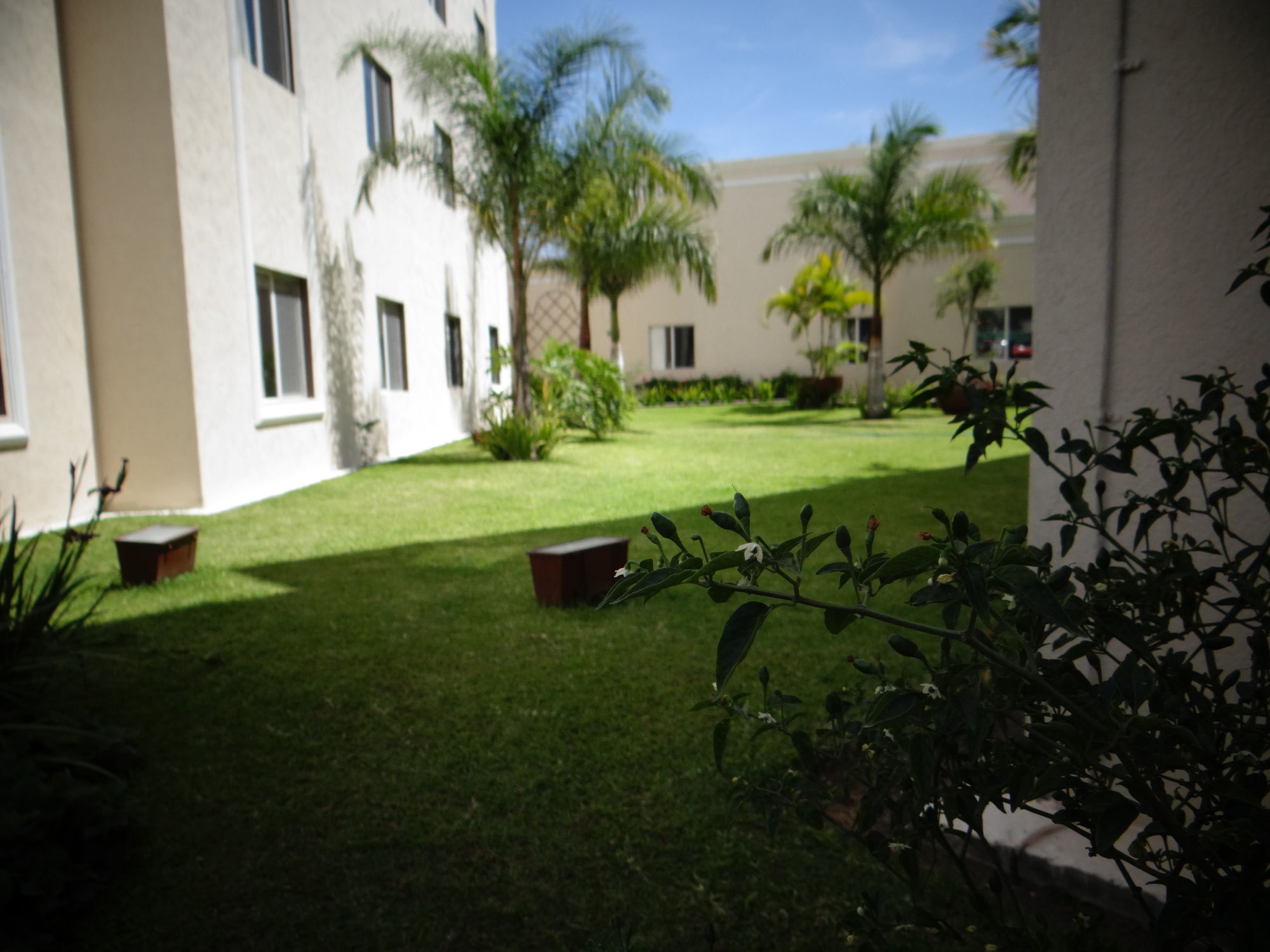 Palomas Express Hotel 3*