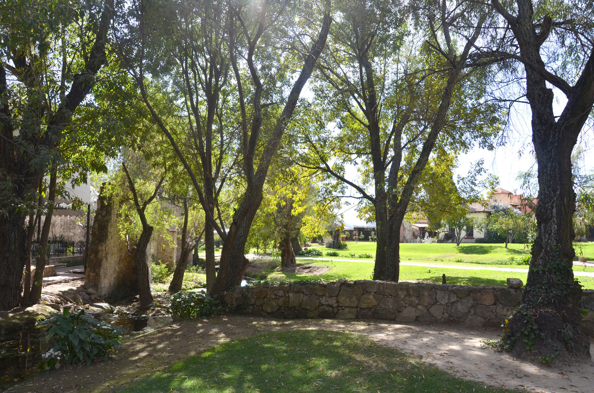 Hacienda La Magdalena Hotel San Francisco Tesistan