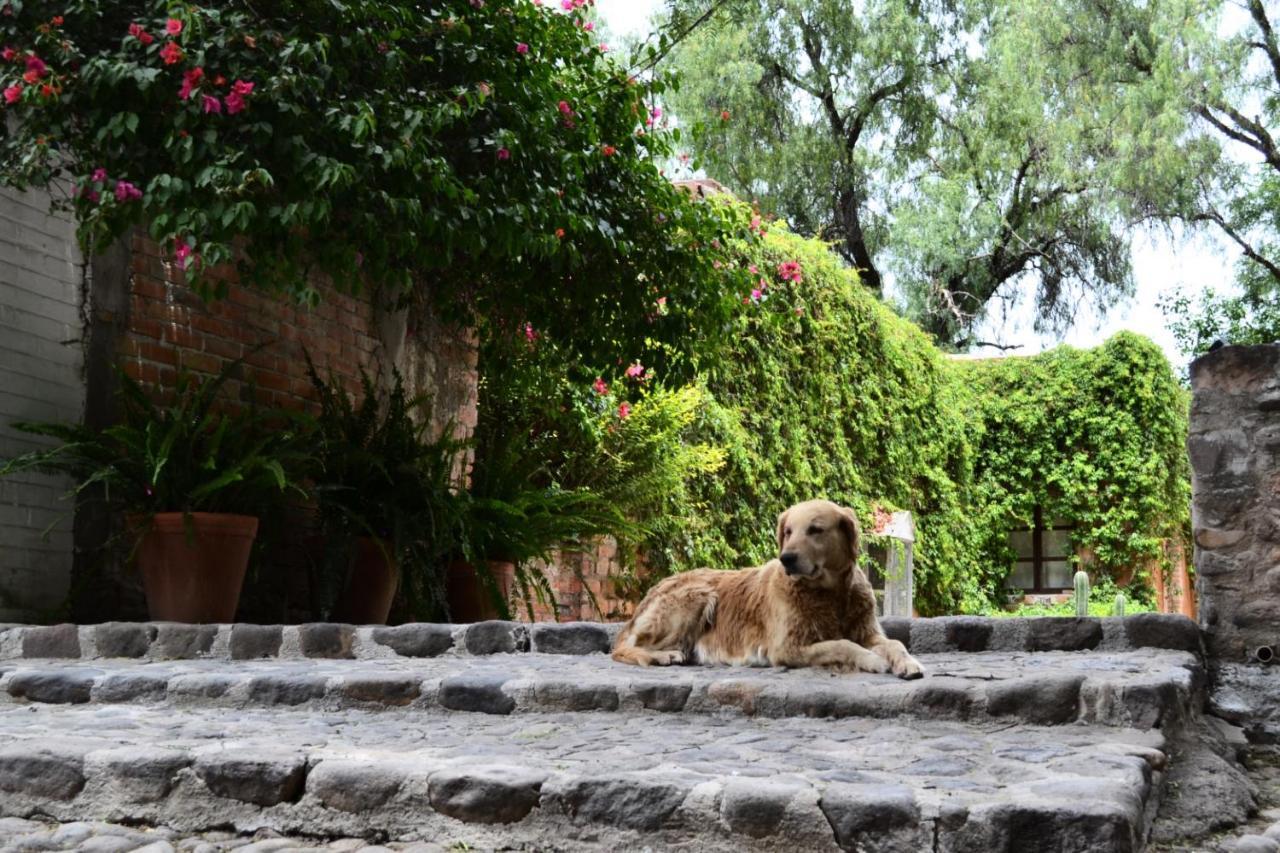 Casa Rural La Soledad Lagos de Moreno