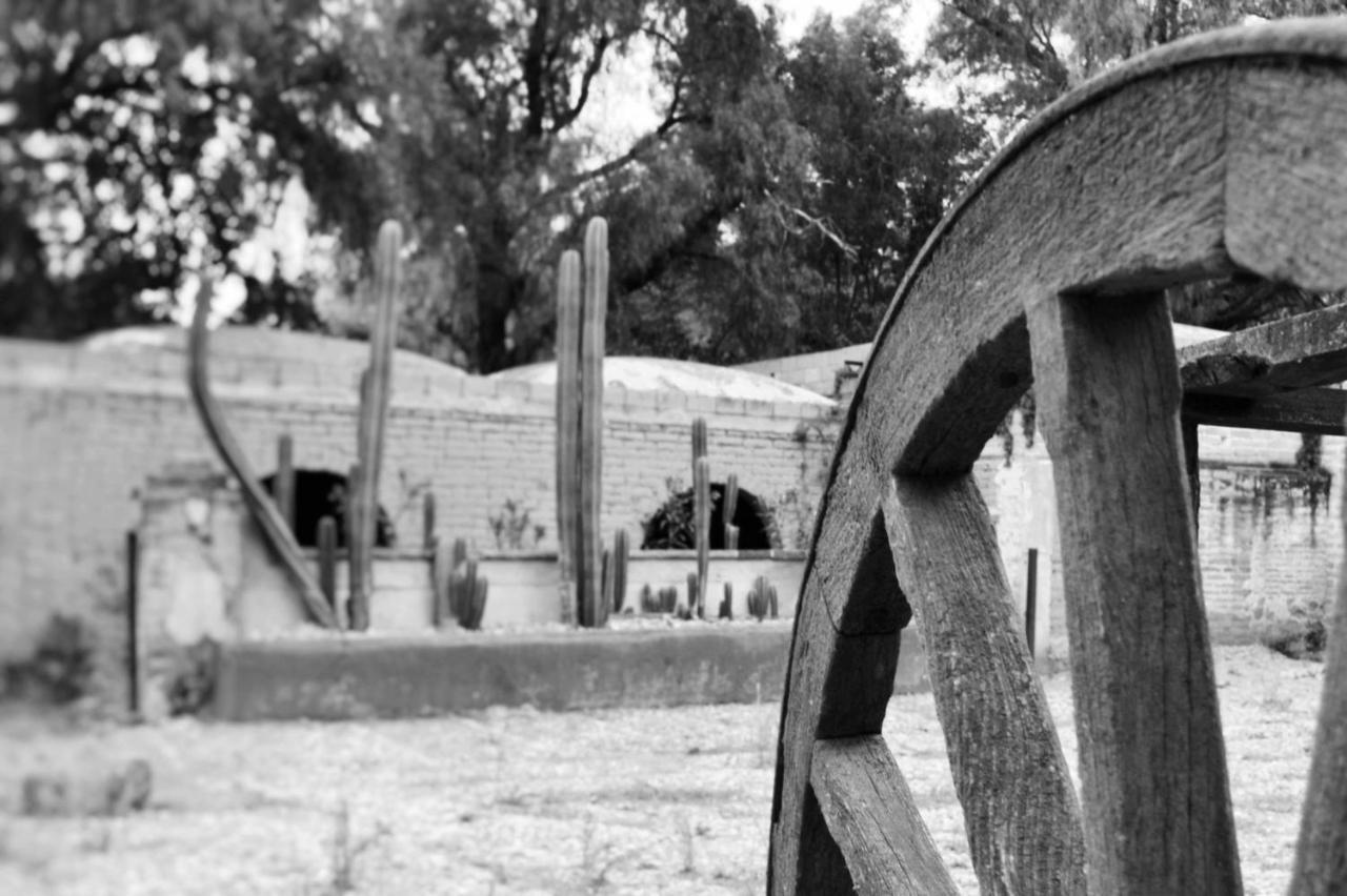 Casa Rural La Soledad Country house Lagos de Moreno