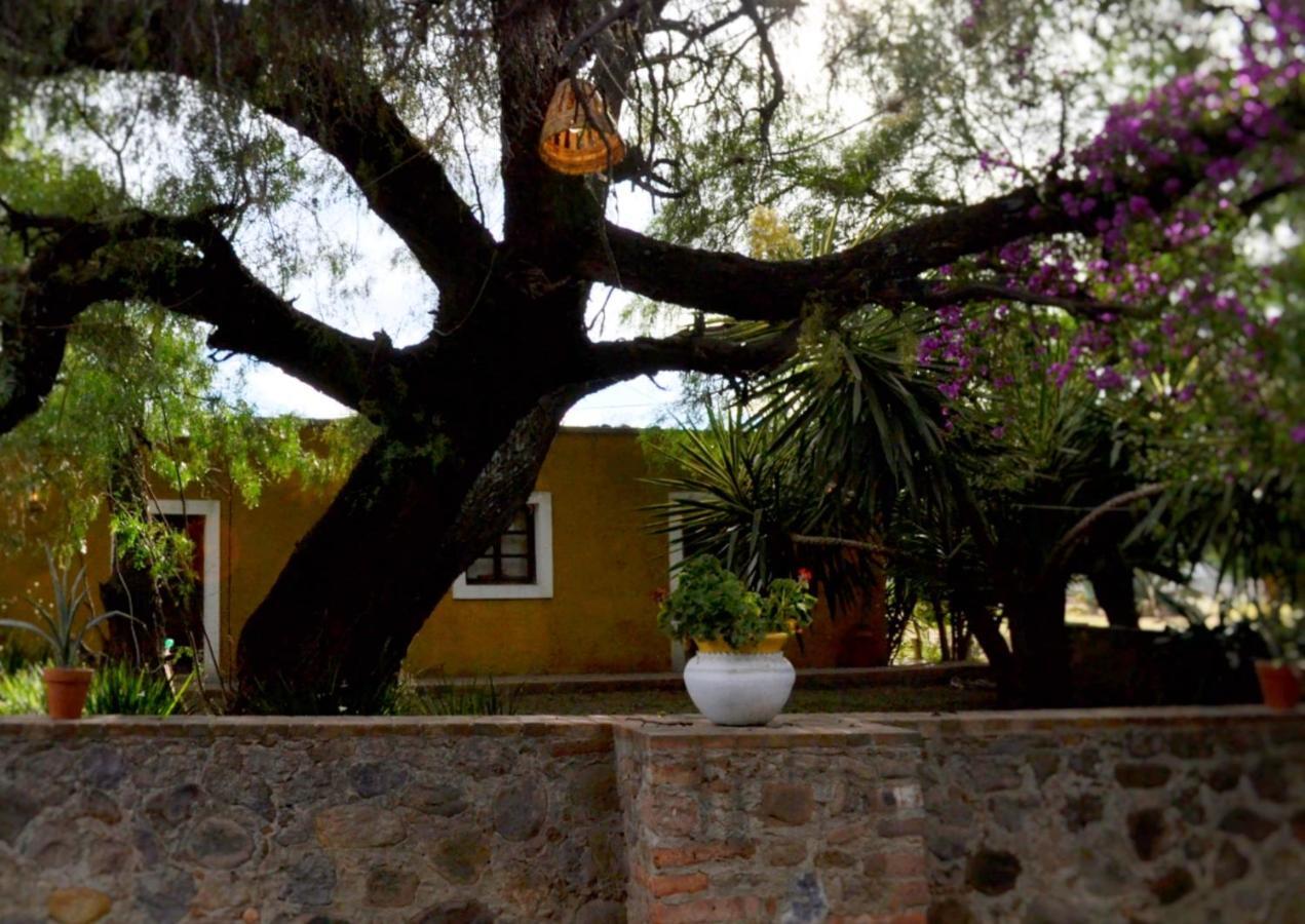 Casa Rural La Soledad * Lagos de Moreno