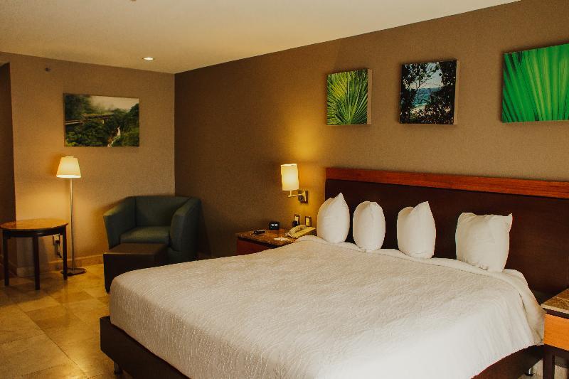 Hilton Garden Veracruz 3* Boca del Rio (Veracruz)