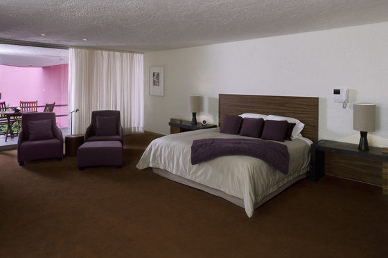 Hotel Camino Real Club And Suites