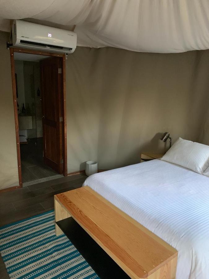 Hotel De La Luz - Holistic