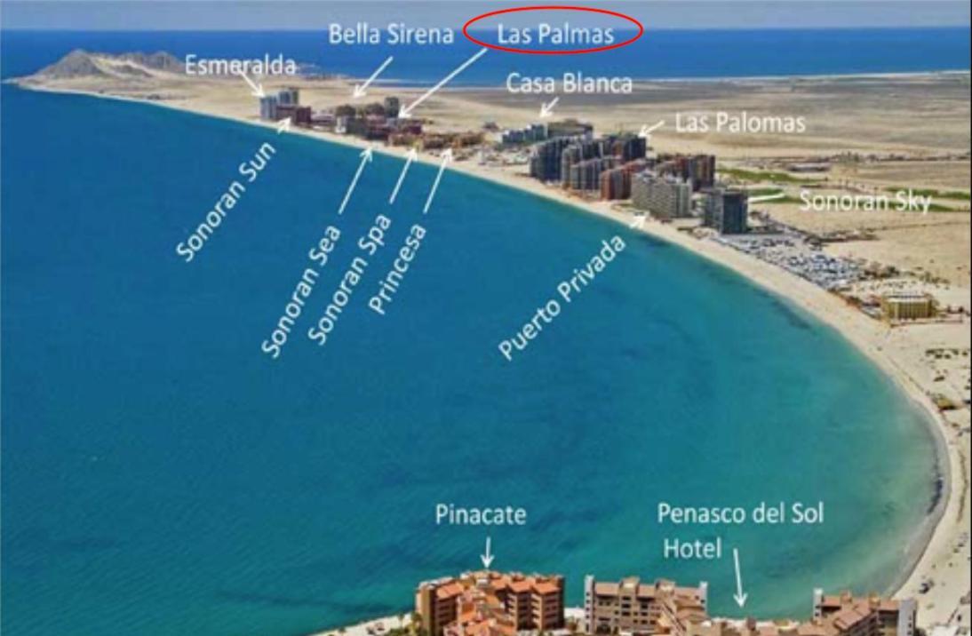 Apartment Sea-esta