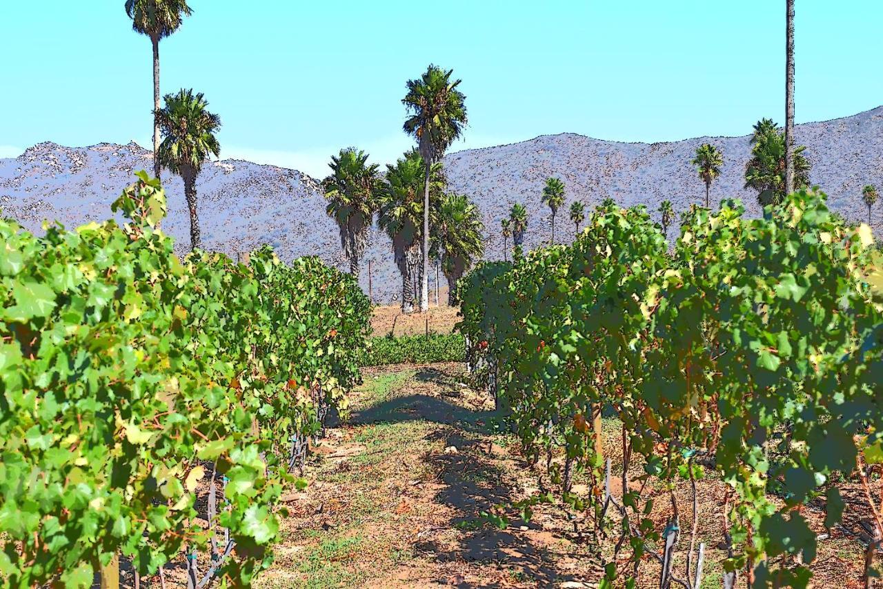 Boutique Rancho Hotel Tecate