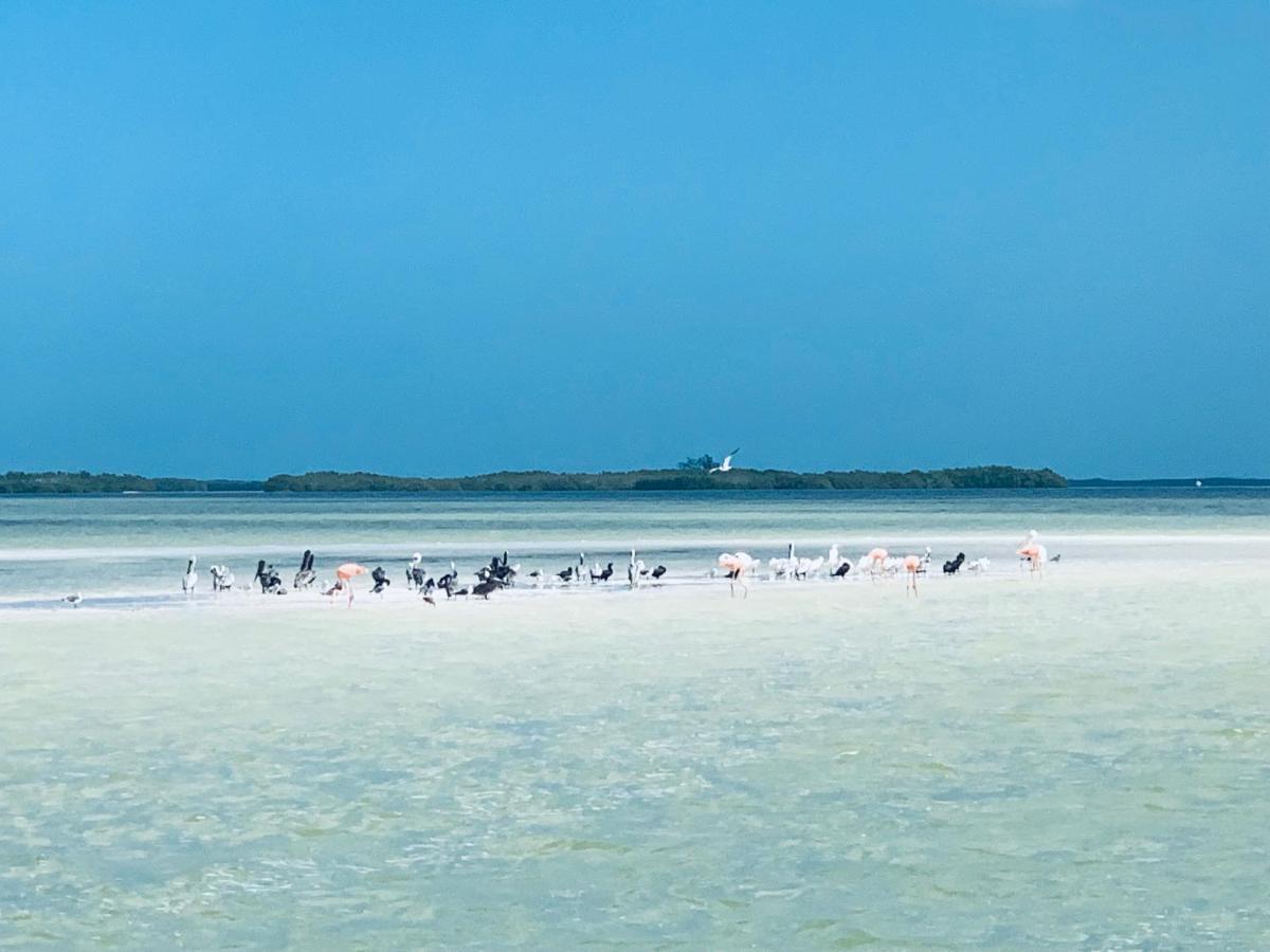 El Corazon Boutique - Adults Only With Club Pass Included Hotel Isla Holbox