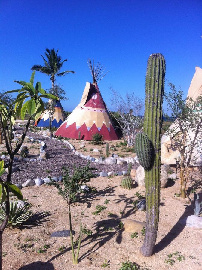 Captain Nemo's Landing Los Barriles