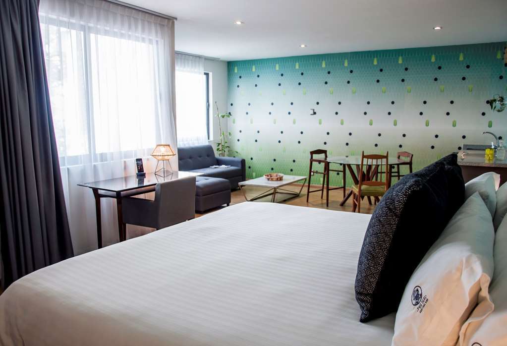 Pug Seal Polanco Allan Poe Hotel Mexico City