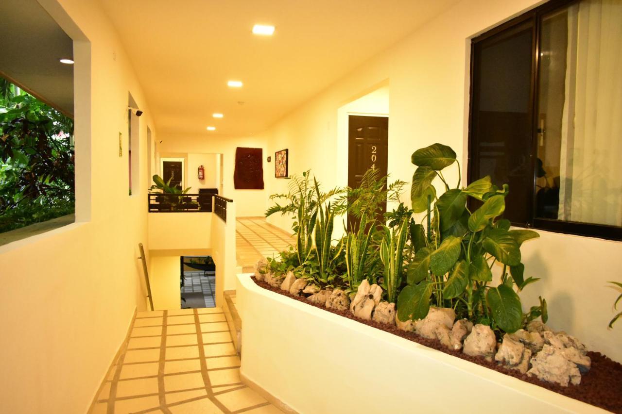Maya Tulipanes Express Hotel Palenque