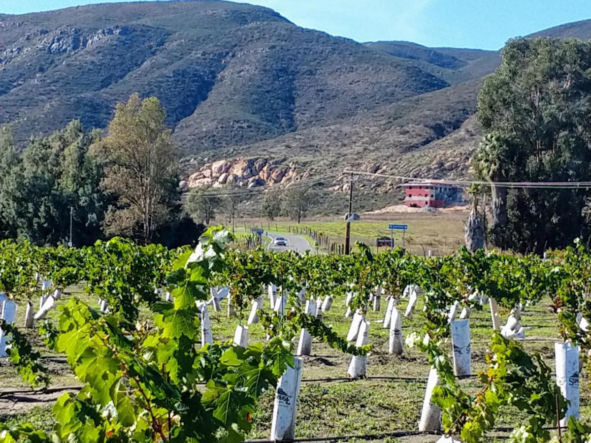 Fernabella's Lodge Valle de Guadalupe