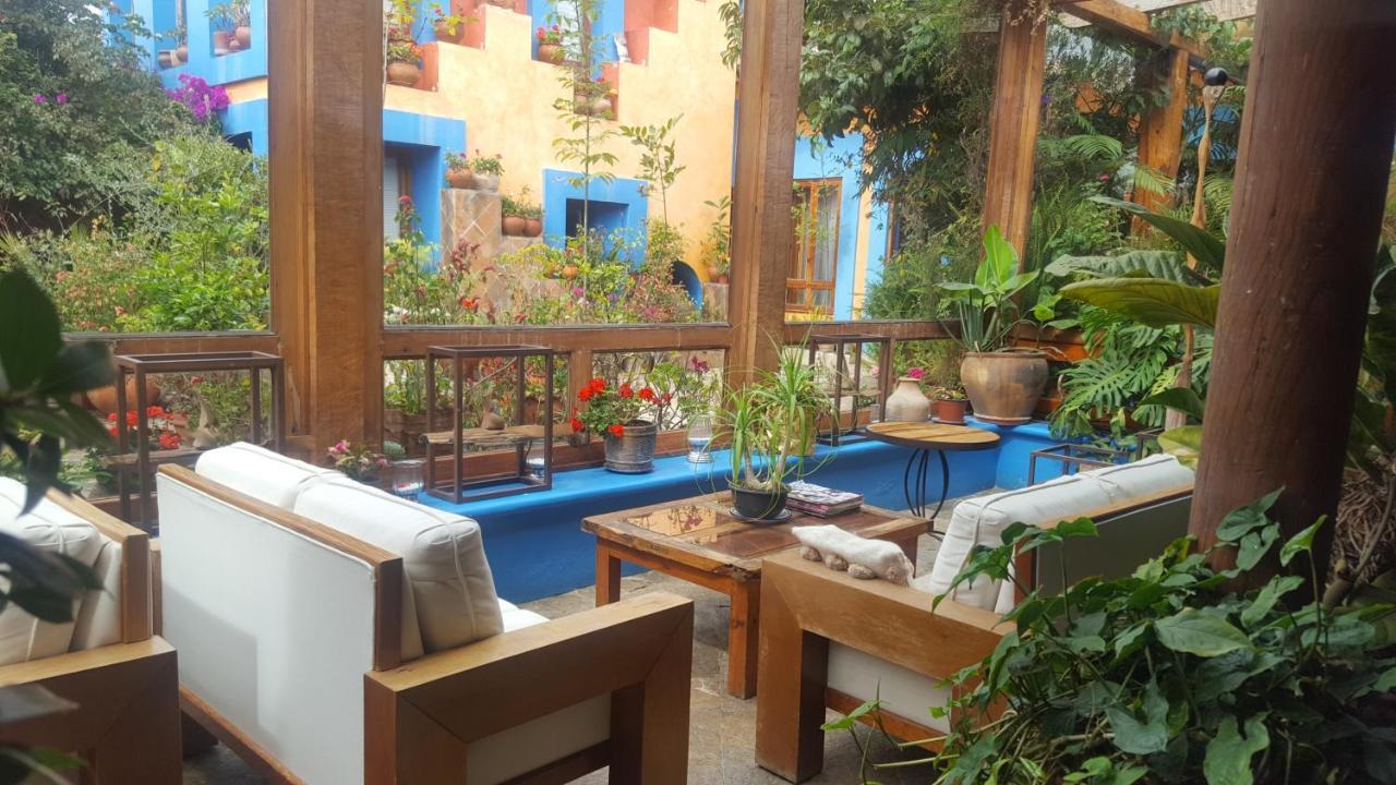 El Paraiso San Cristobal de las Casas