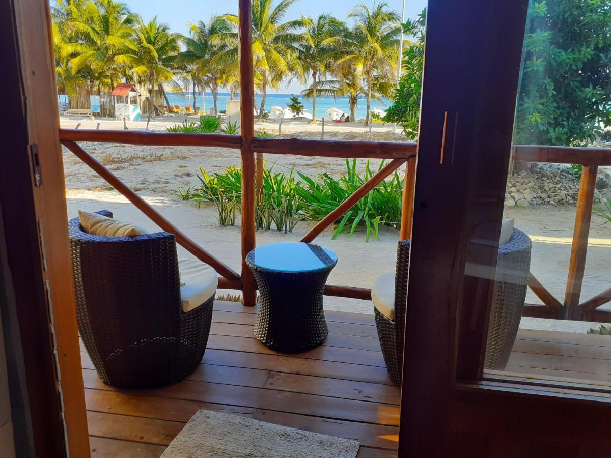 Palmeras De *
