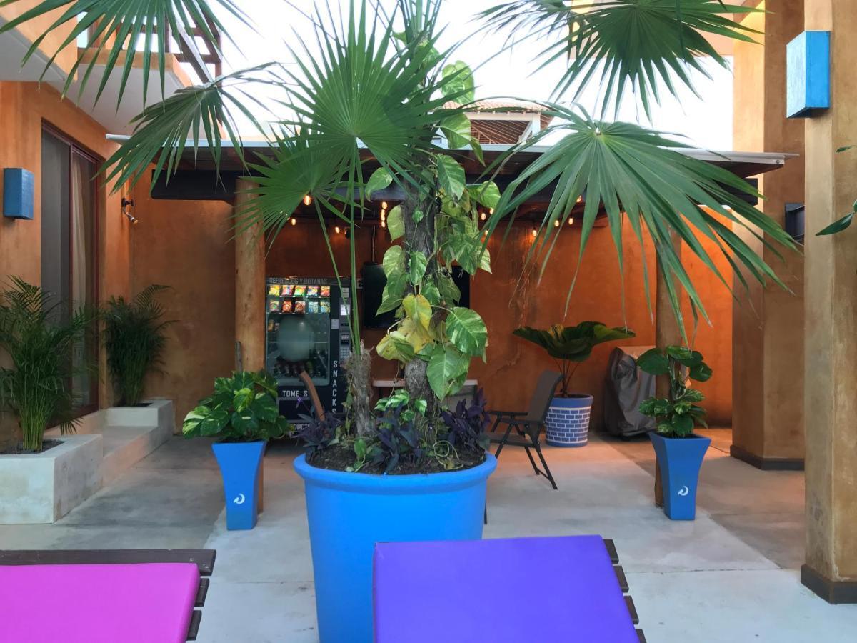 Nhis Be Suites * Puerto Escondido (Oaxaca)