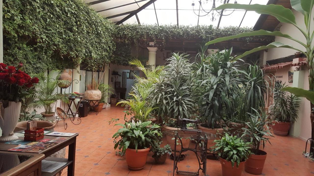 Hotel San Luis 3*