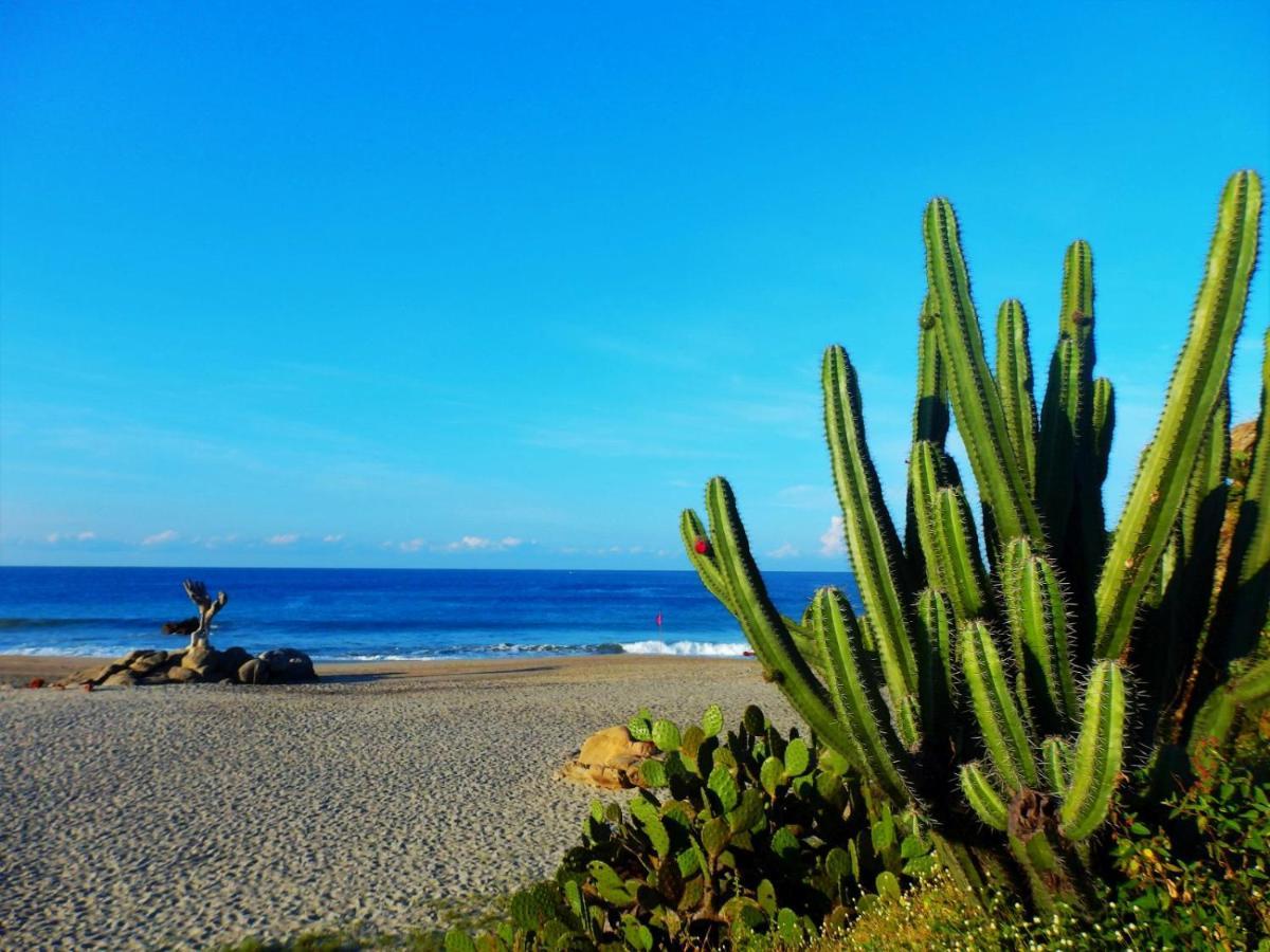 Hotelito Swiss Oasis - Playa Zicatela - Adults Only Hotel 3*