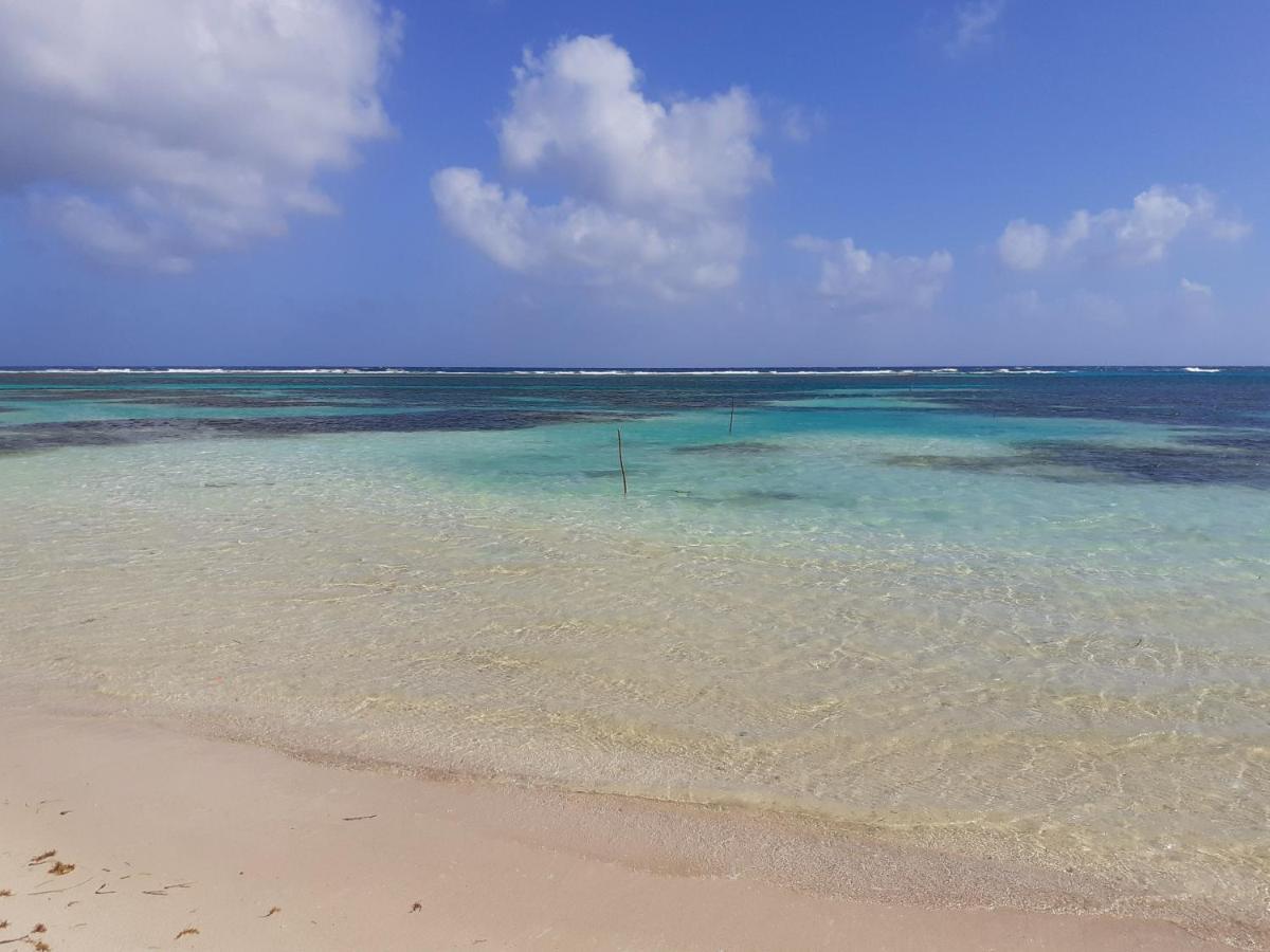 Palmeras De