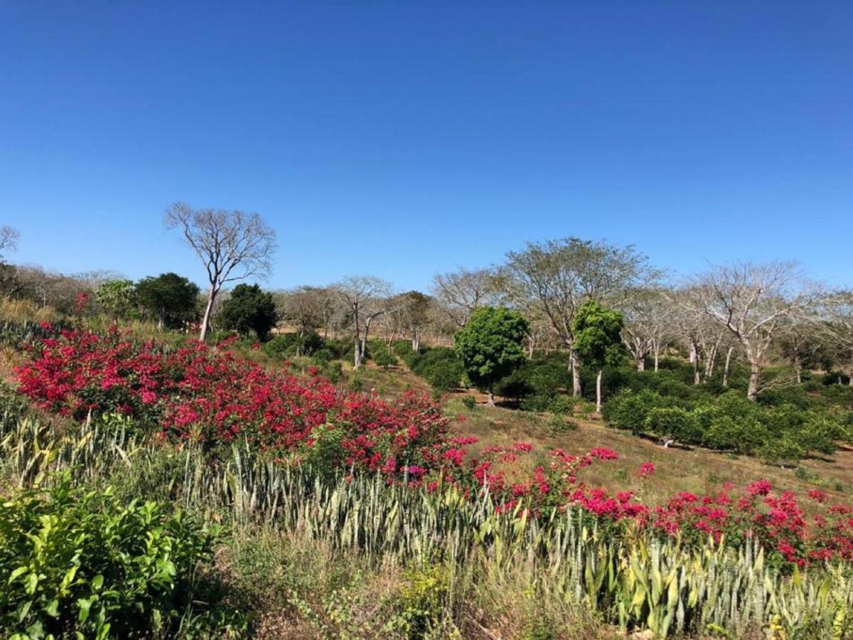 Hotel Hacienda Plantation & Museum