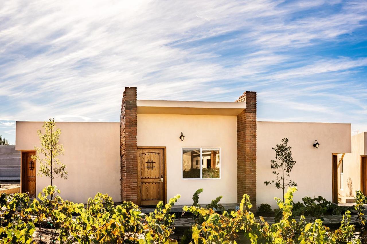 Ojo Azul Valle de Guadalupe
