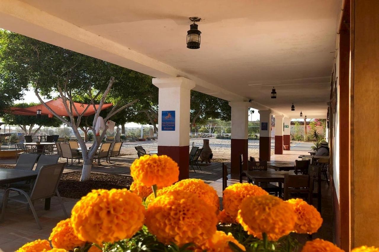 Palmas Hotel San Felipe (Baja California)