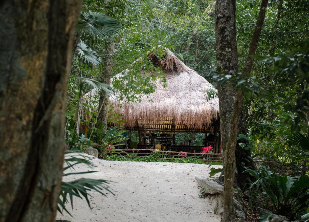 Glamping Mama Loo Mm Luxury tent