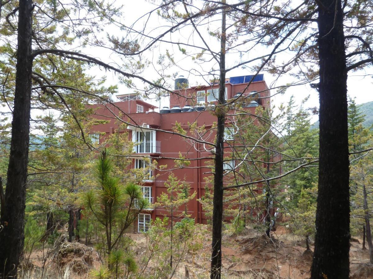 Hotel Gold 3*