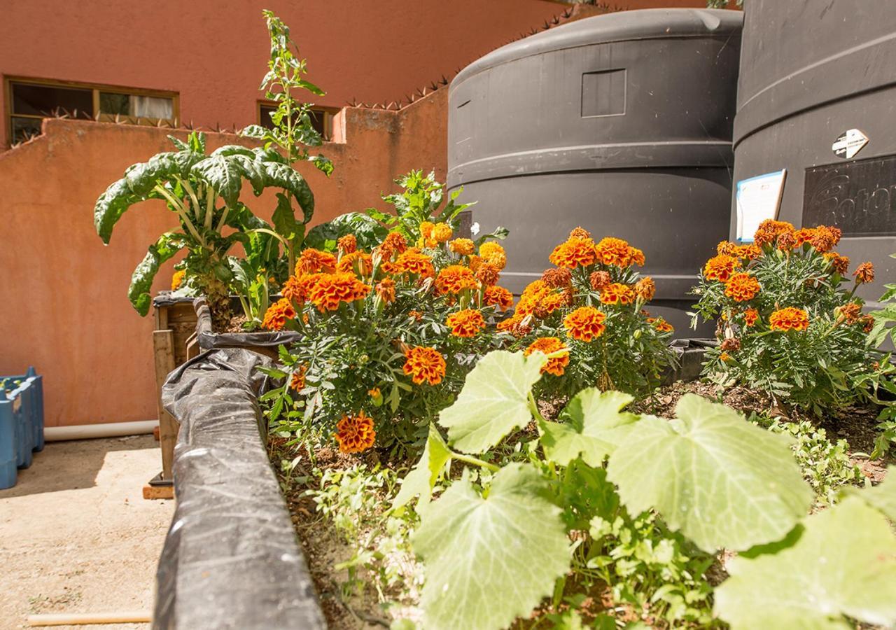Casa Estrella De La Valenciana Boutique Hotel