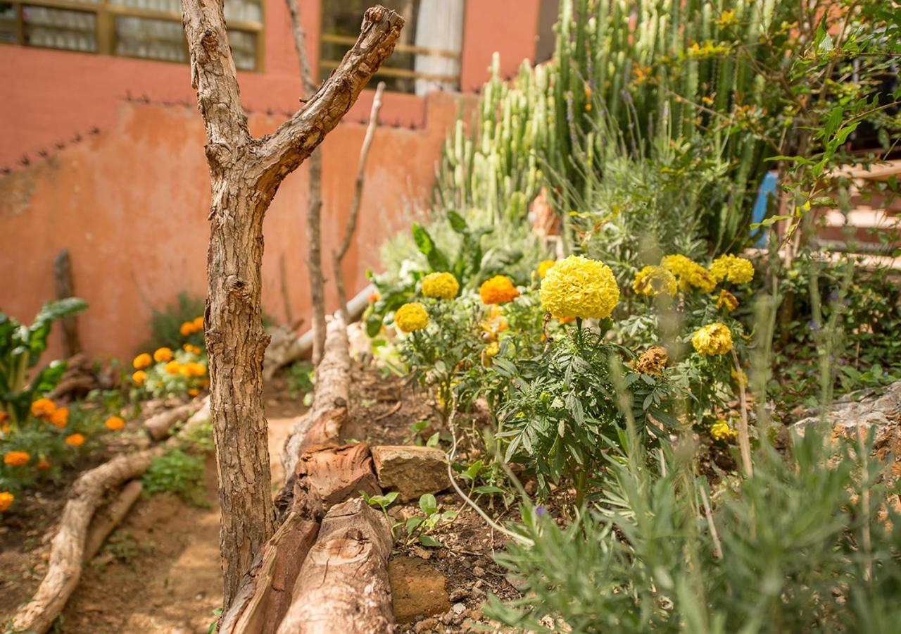 Casa Estrella De La Valenciana Boutique Hotel Guanajuato