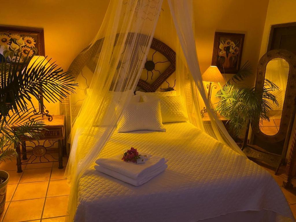 The Mexican Bed & Breakfast Cabo San Lucas