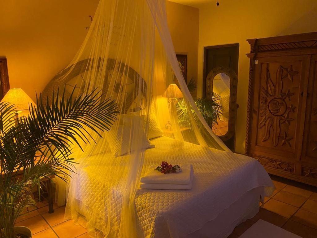 Bed & Breakfast The Mexican 3*