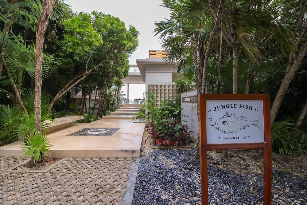 Hotel Luxury With Rooftop Steps Away From By Olahola