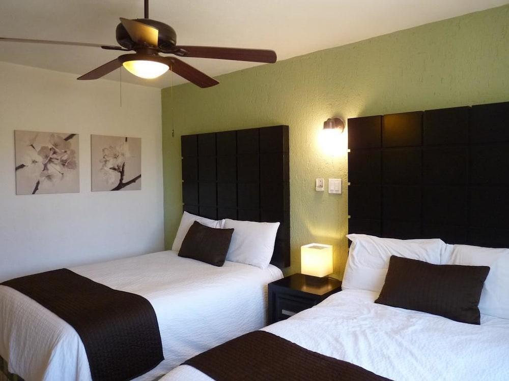 Hotel Terranova 3*