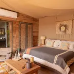 Nomade Holbox